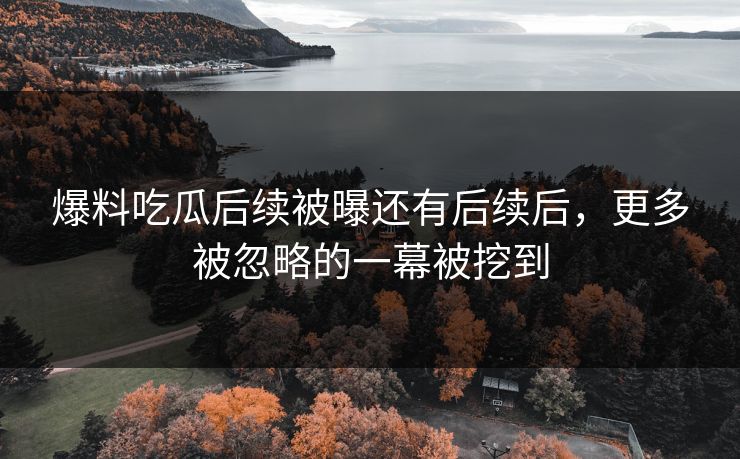 爆料吃瓜后续被曝还有后续后，更多被忽略的一幕被挖到