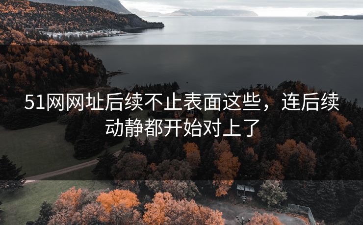 51网网址后续不止表面这些，连后续动静都开始对上了