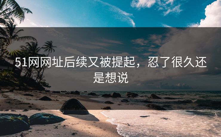 51网网址后续又被提起，忍了很久还是想说