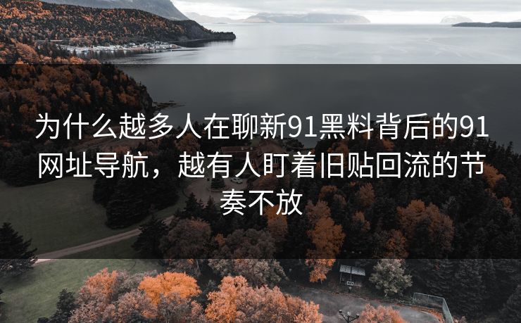 为什么越多人在聊新91黑料背后的91网址导航，越有人盯着旧贴回流的节奏不放