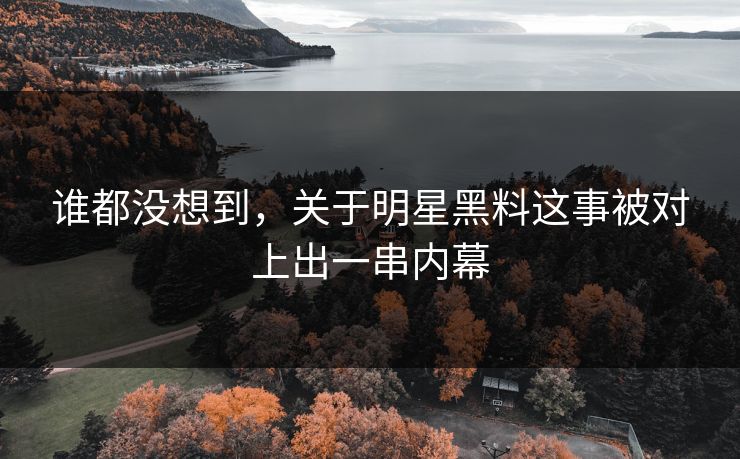 谁都没想到，关于明星黑料这事被对上出一串内幕