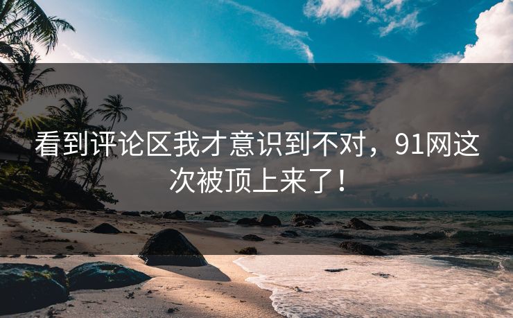 看到评论区我才意识到不对，91网这次被顶上来了！