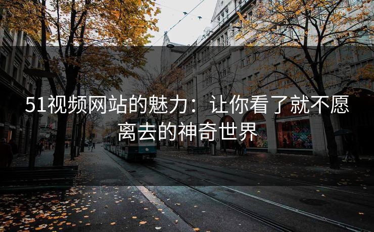 51视频网站的魅力：让你看了就不愿离去的神奇世界
