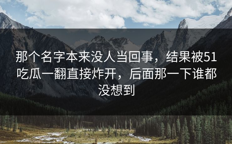 那个名字本来没人当回事，结果被51吃瓜一翻直接炸开，后面那一下谁都没想到