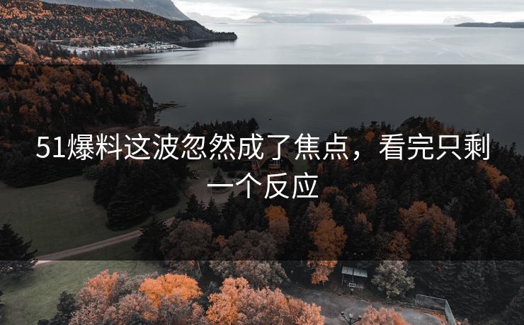 51爆料这波忽然成了焦点，看完只剩一个反应