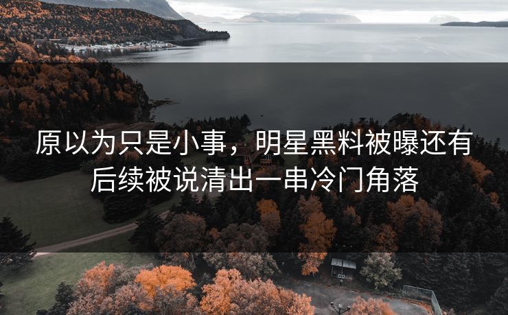 原以为只是小事，明星黑料被曝还有后续被说清出一串冷门角落